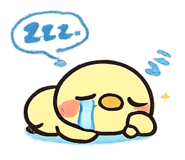 855704466