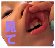 855705226