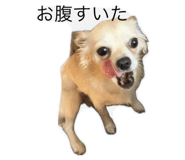 855705258