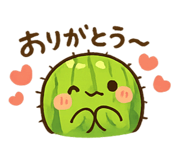 855705877