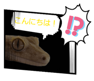 855707810