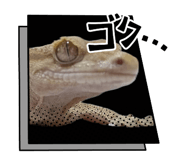 855707811