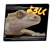 855707813