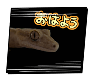 855707814
