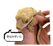855707817