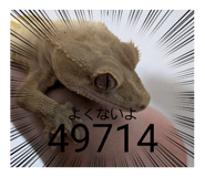 855707821