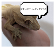 855707824