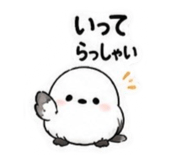 855707892
