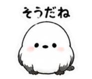 855707904