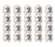 855708226