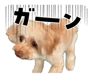855708234