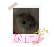 855708329