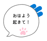 855709601