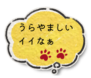 855709612