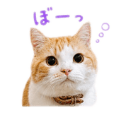 855710942