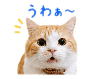 855710945
