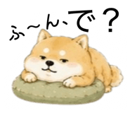855711105