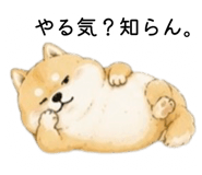 855711106