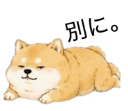 855711111