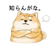 855711114