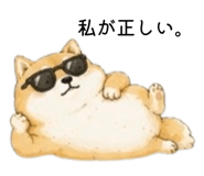 855711116