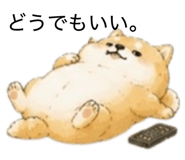 855711117