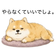 855711120