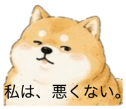 855711124