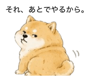 855711125