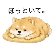 855711126