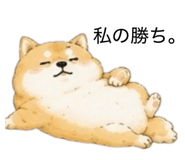 855711128