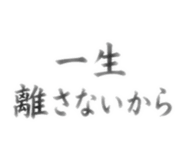 855711162