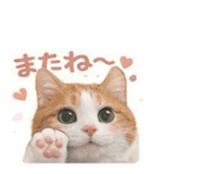 855715512