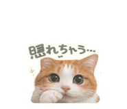 855715514