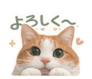 855715528
