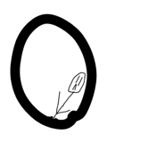 855716651
