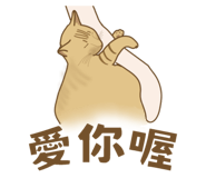 855717676