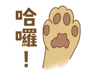 855717679