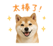 855720855