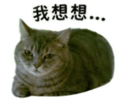 855720883