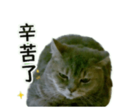 855720886