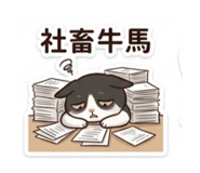 855721562