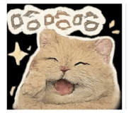 855721632
