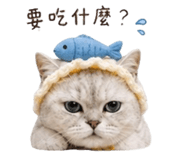 855721833