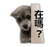 855722096