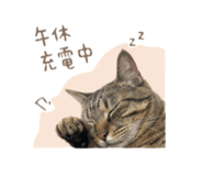 855722306