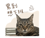 855722310