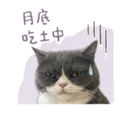 855722313