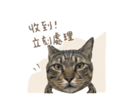 855722316