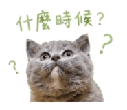 855723553